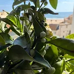 Melia Mar 公寓 波尔蒂芒