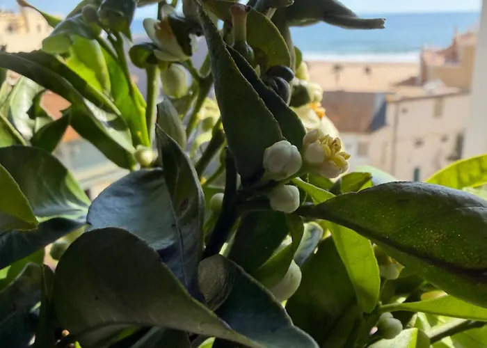 Melia Mar Apartment Portimao